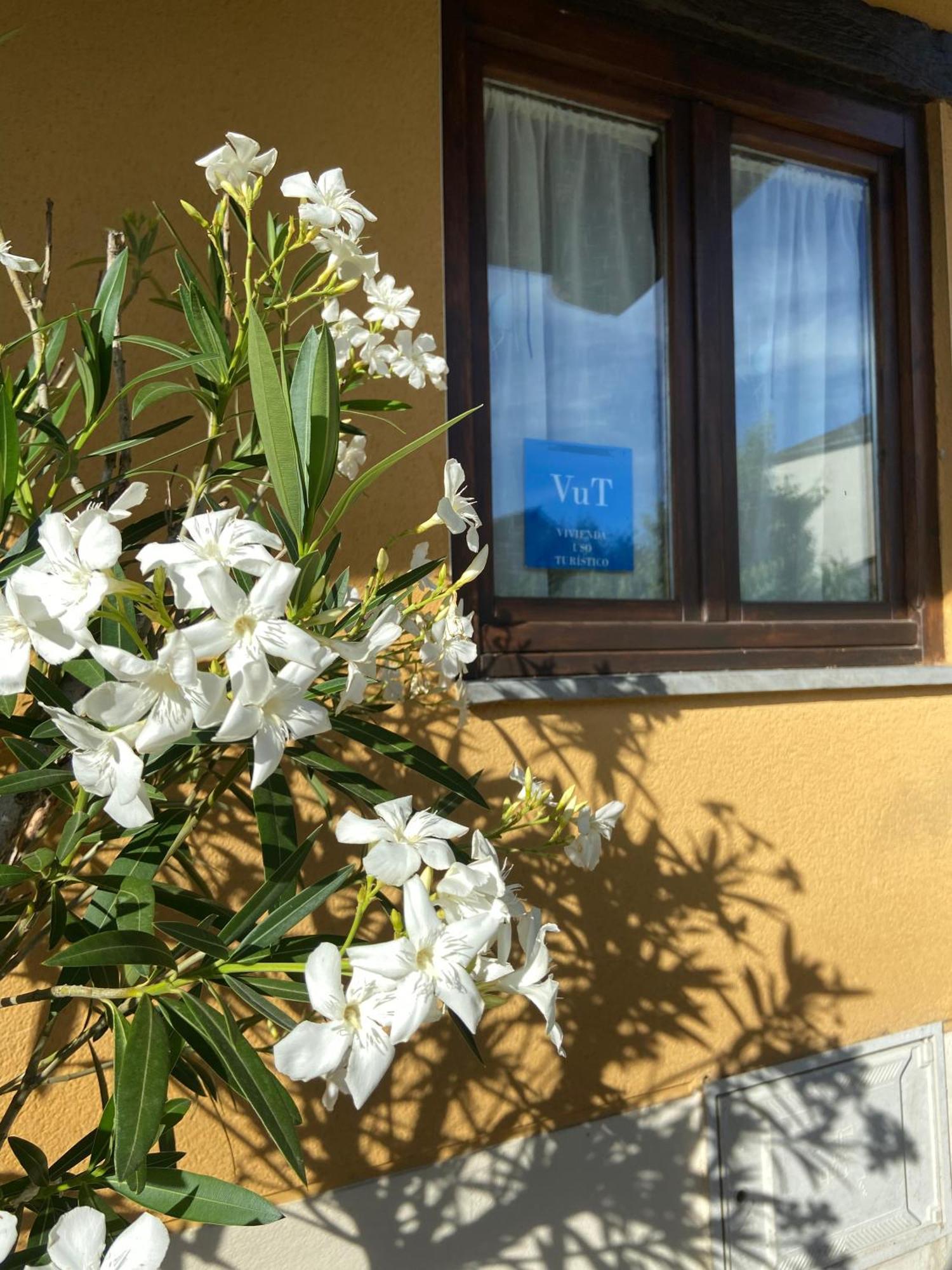 Willa La Casita De Vinales Bembibre  Zewnętrze zdjęcie